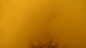 Услуги водолаза и подводных дронов