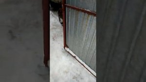 ГАЗЕЛЬ Усиление кузова. Кузов Газель Некст. часть 1.