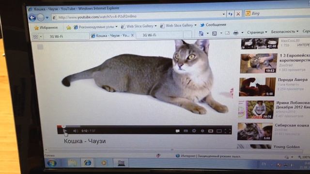 3G Wi-Fi модем Билайн смотреть онлайн