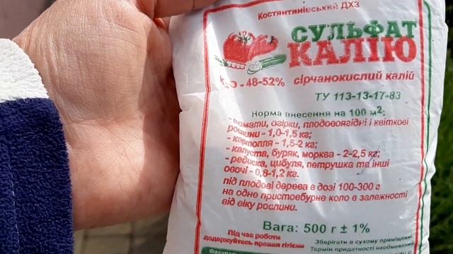 Подкормка лаванды в мае.Growing lavender.