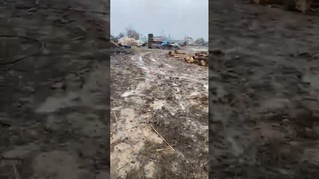 ЛУЧШАЯ РАБОТА В МИРЕ)  решили показать....#бизнес Знаешь что это? Напиши...