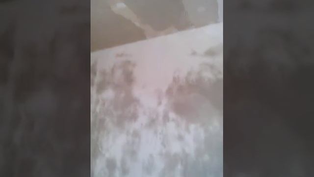 Быстрая шпаклевка валиком первый слой