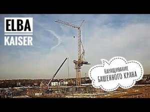 Как башенный кран ПОДНИМАЕТ СЕБЯ САМ. Elba Kaiser. Tower crane assembly