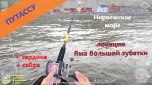 Русская рыбалка 4 - Норвежское море - Путассу и мелочь у базы