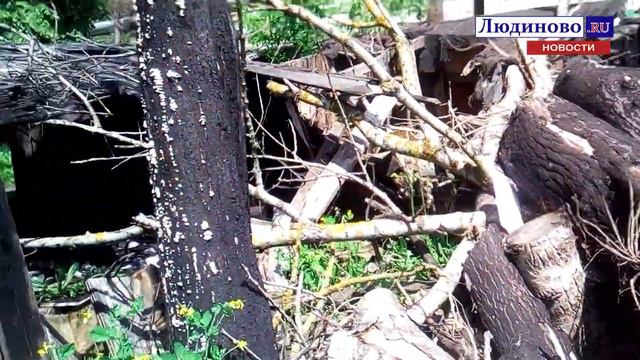 "Под носом у чиновников". Больше года Аганичев и его команда не может убрать завалы сгоревших сарае смотреть онлайн