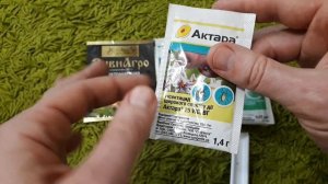 Как я ИЗБАВИЛСЯ от клещей на БАЛЬЗАМИНАХ! Важное об АКТАРЕ