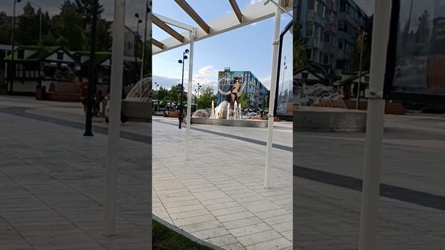 Прогулка/ 9 августа 2024 год