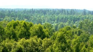 На реке Китой в месте слияния с рекой Одой.