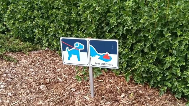 Латвия | Поселок Пиньки | Словно побывали за границей | Выпуск # 2 (2020) смотреть онлайн