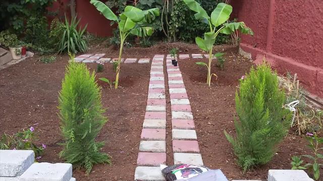 Kendi Peyzaj Bahçeni Nasıl Tasarlarsın - How to Create Your Own Landscape Garden смотреть онлайн