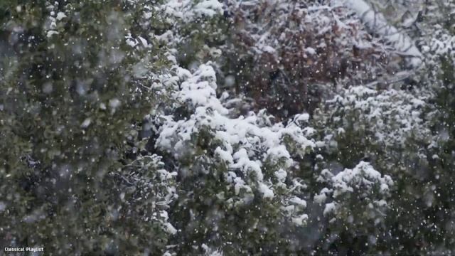 Классическая музыка для души. Зимнее фортепиано - Моцарт, Бетховен, Шопен, Чайковский, Россини, Бах