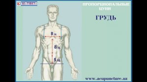 Акупунктура. Иглотерапия. www.acupuncture.uz
