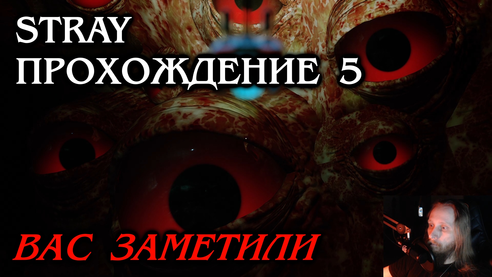 Stray ПРОХОЖДЕНИЕ 5 - Вас заметили