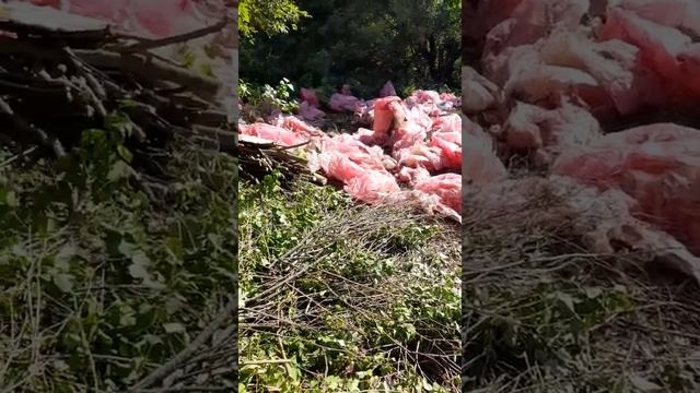 Из отходов в доходы смотреть онлайн