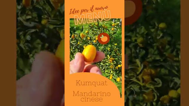 KUMQUAT