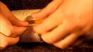 Береста. Как снимать бересту.