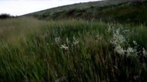 какая дымовая шашка лучше?