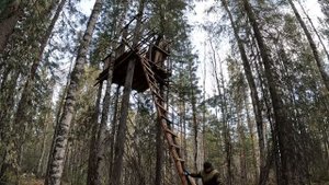 Строительство вышки для охоты, часть 2! #вышкадляохоты