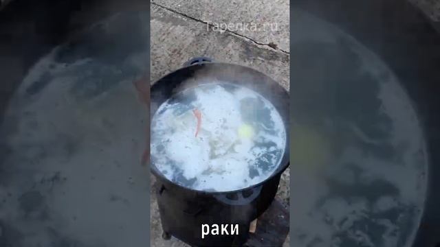 ВАРЕНЫЕ РАКИ С МАСЛОМ. Раки по-ростовски. СМАЧНО и с маслом. Рецепт вареных раков. Раки в казане