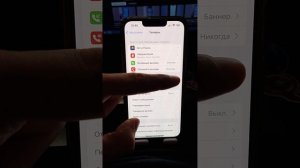 Как заглушить вызовы от неизвестных абонентов на Айфон?