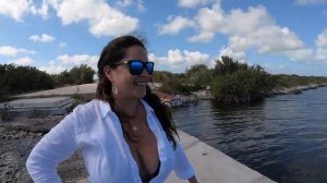 Touring The Turks & Caicos Islands : 4K SCUBA Diving with Reef Sharks