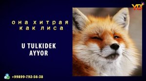 1000 Русский узбекский словарь 9-урок