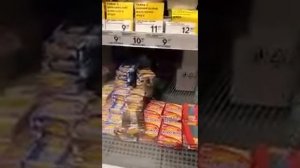 Мышь бегает по продуктам в Пятерочке