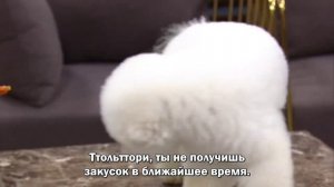 Солнечное завтра 1 сезон 29 серия