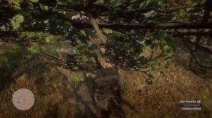 Red Dead Redemption 2 How To Hunt The Legendary Tatanka Bison In Chapter 2