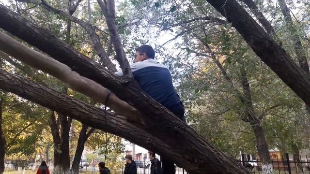 Парень расскачивался на грабле и упал))) смотреть онлайн