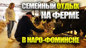 Семейный отдых на ферме в  Наро-Фоминске. Отзывы.