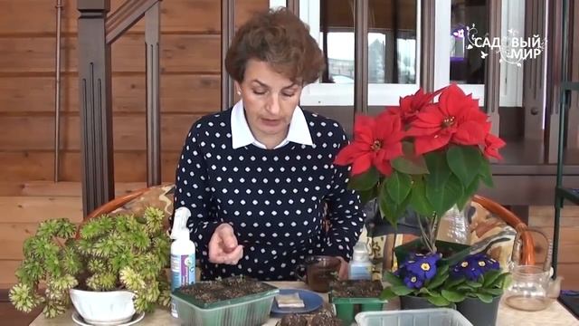 Подкормки для рассады и комнатных цветов  Биокомплекс БТУ