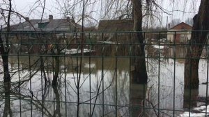 Топит Славянск-на-Кубани, Славянский район, х.Прикубанский