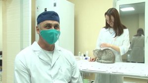 Как стать ветеринаром?