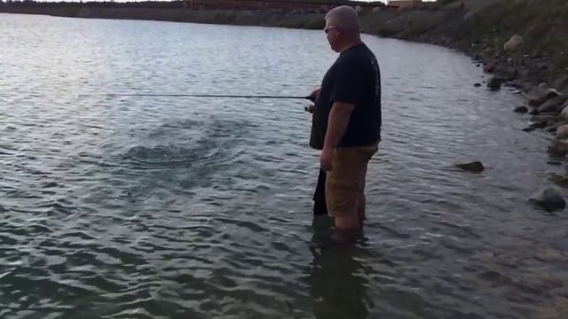 Berkley Gulp Minnows смотреть онлайн