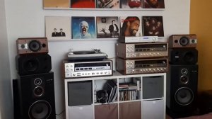 focal chorus 705v