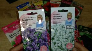 ПЕТУНИИ. САМЫЕ РОСКОШНЫЕ ПЕТУНИИ. Обзор семян петуний на 2022 год. Ампельные сорта петуний.