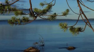 Колвица. Путешествие на землю саамов.