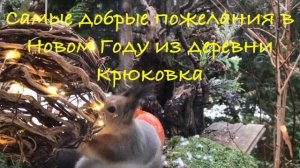 Скоро Новый год… и белочка.