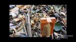 ПОХОД ПО СВАЛКАМ . ЧТО МОЖНО НАЙТИ?