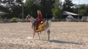 Шоу арабских лошадей: арабский костюм. #ИППОсфера 2021