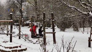 ОБЗОР НА ВСЕХ / СБОРНИК