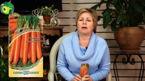 Какие Семена моркови САМЫЕ ЛУЧШИЕ ✔️ Топ Моркови От Garden zoo интернет магазин