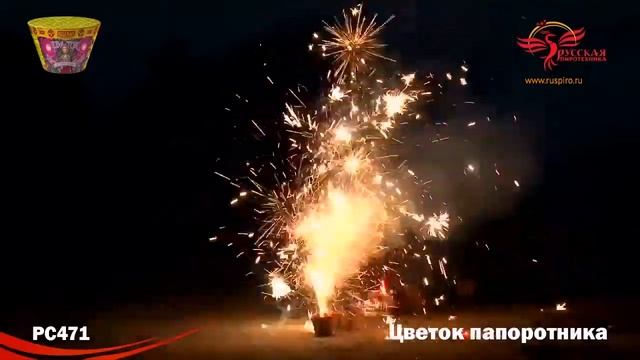 РС471: Цветок папоротника. смотреть онлайн