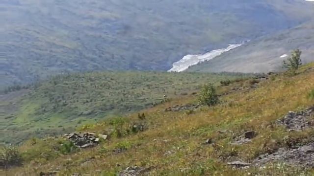 В ПРИИСКОВЫЙ ЗА ЯГОДАМИ смотреть онлайн