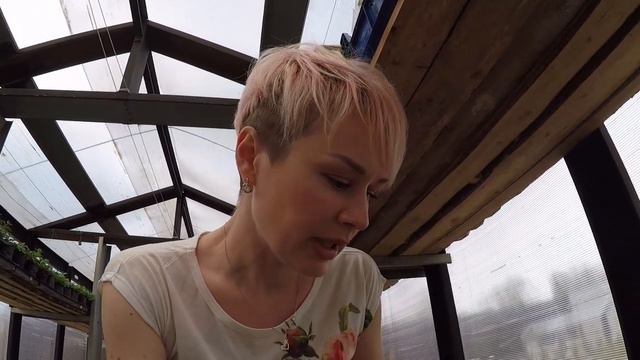 РАССАДА В ТЕПЛИЦЕ. СЕЗОН 2019. смотреть онлайн