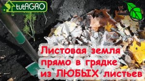 Вместо НАВОЗА! ДЕЛАЕМ ЛИСТОВУЮ ЗЕМЛЮ САМЫМ ПРОСТЫМ СПОСОБОМ! Даже больные листья ГОДЯТСЯ.
