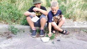 Пища Жизни МАРИУПОЛЬ 2022