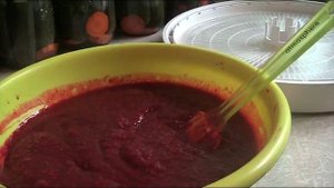 Пастила в сушилке. Как это делаю я!!! Август 2017 г. //Секреты хороших урожаев.