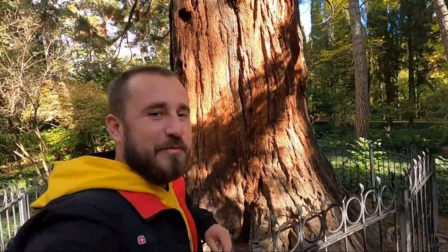 Крым. БАЛ ХРИЗАНТЕМ. КАКТУСОВАЯ ОРАНЖЕРЕЯ. БАМБУКОВАЯ РОЩА. НИКИТСКИЙ БОТАНИЧЕСКИЙ САД. смотреть онлайн